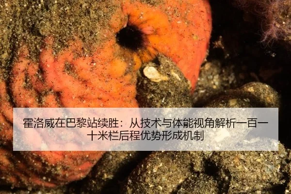 huo-luo-wei-zai-ba-li-zhan-xu-sheng-cong-ji-shu-yu-ti-neng-shi-jiao-jie-xi-yi-bai-yi-shi-mi-lan-hou-cheng-you-shi-xing-2-858.jpg